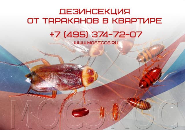 Дезинсекция от тараканов в квартире в Совхоз имени Ленина